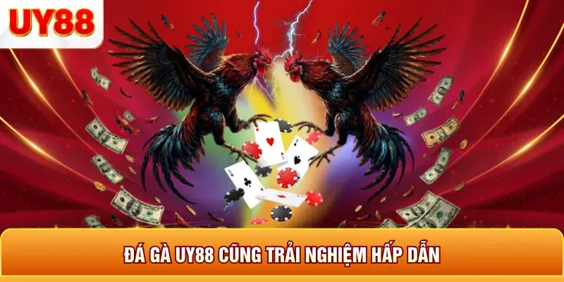 Đá gà uy88 cùng trải nghiệm hấp dẫn